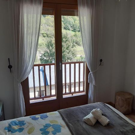 Apartamento En Pirineos ビエルサ エクステリア 写真